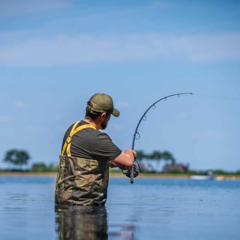 Caña Avid Carp Revolve 10 pies 3 lb - Tienda Carpfishing