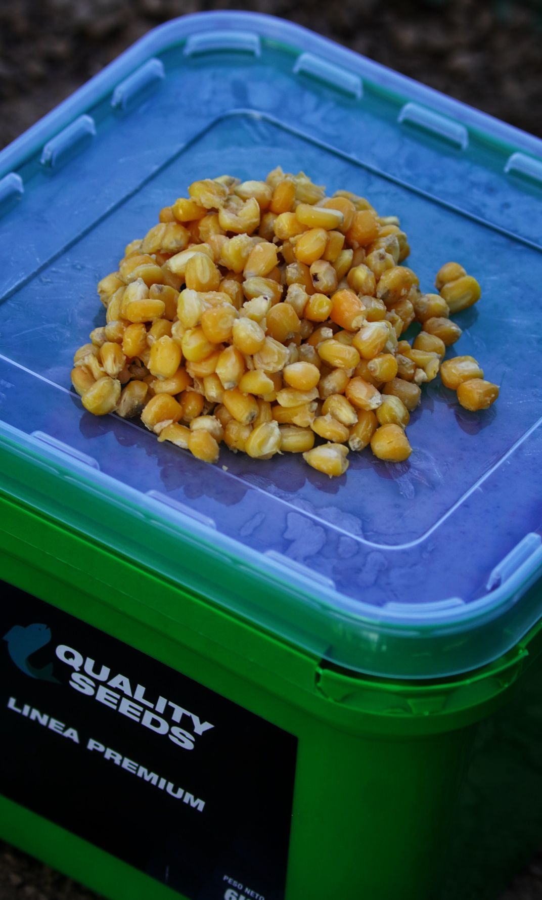 Maïs Emmer Quality Seeds Geel 6kg