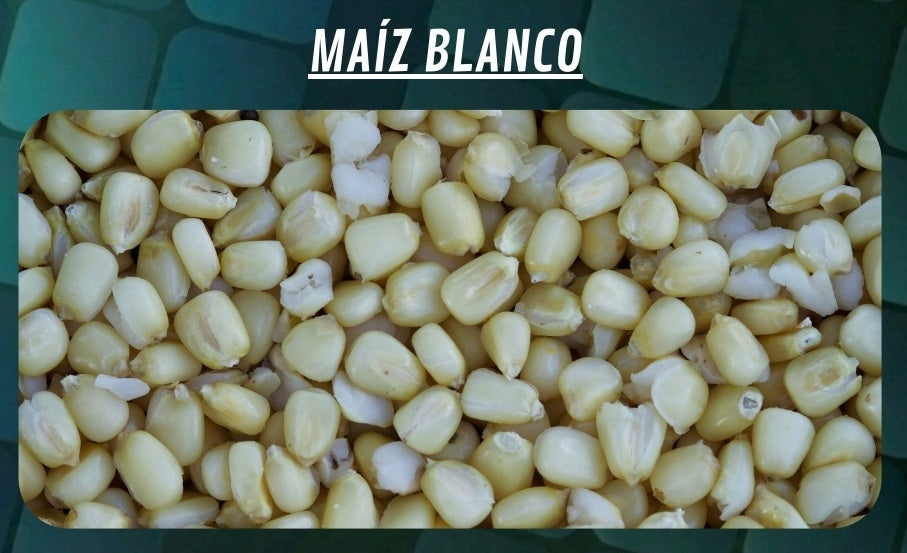Maïs Emmer Quality Seeds Wit 6kg
