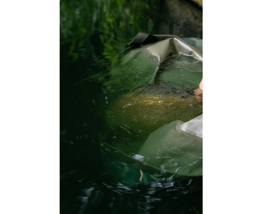 Saco de pesaje Korum Camo Compact - Tienda Carpfishing