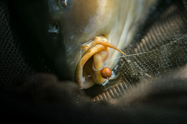 Hooks Nash Claw