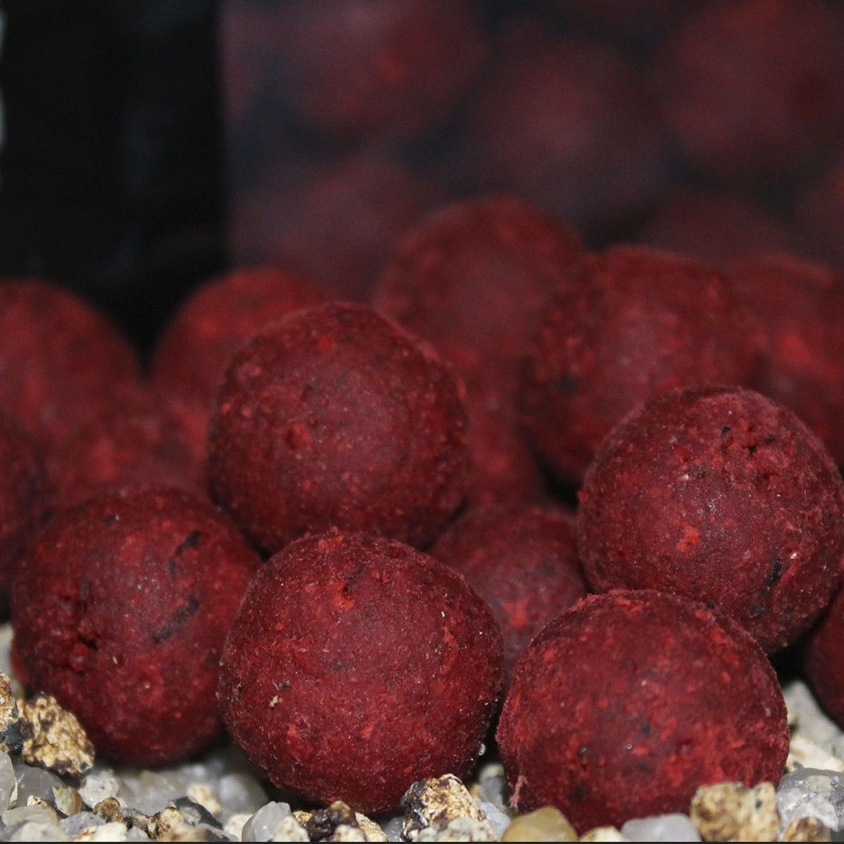 Boilies Trybion Cyprinus Max 15mm