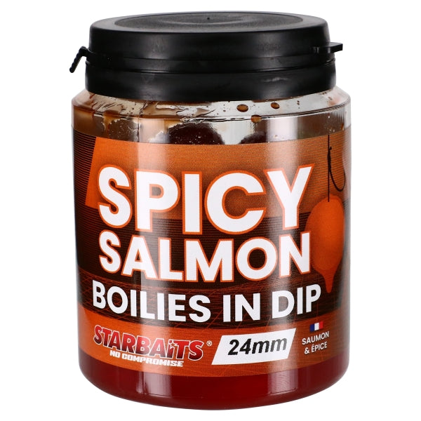 Boilies in Dip Starbaits Spicy Zalm 24 mm