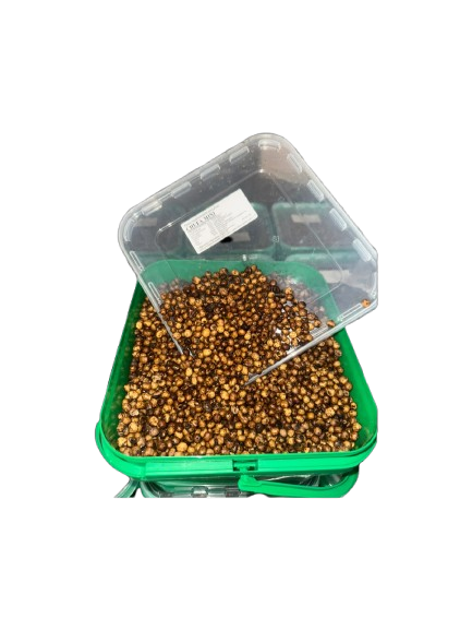 Tijgernoten Quality Seeds minimaal 5 kg