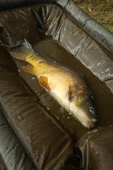 Mat Fox Karpermeester