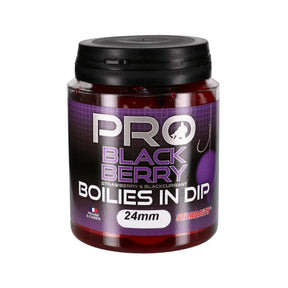 Boilies in Dip Starbaits Probiotic Black Berry 24 mm - Tienda Carpfishing