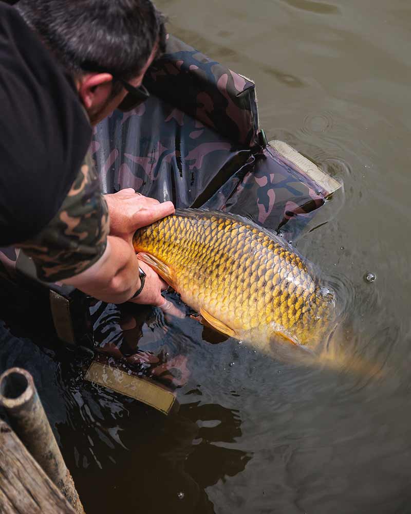 Moqueta Fox Camolite - Tienda Carpfishing