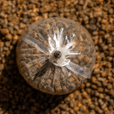 Ring Swivel Bag Stem Avid Carp Outline FleckTone S - Tienda Carpfishing