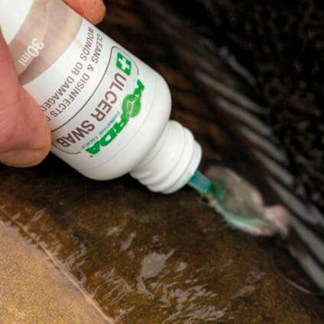 Antiséptico Korda - Tienda Carpfishing