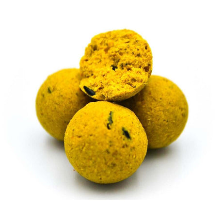 Boilies Massive Baits Tasty Corn 24 mm - Tienda Carpfishing