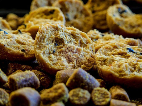 Boilies Pro Elite Baits Gold Sweet Dreams 24 mm - Tienda Carpfishing