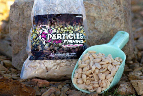 Cacahuete Particles For Fishing 1 kg - Tienda Carpfishing