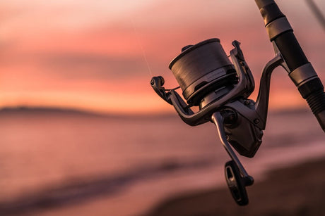 Carrete Shimano Ultegra 14000 XSE - Tienda Carpfishing