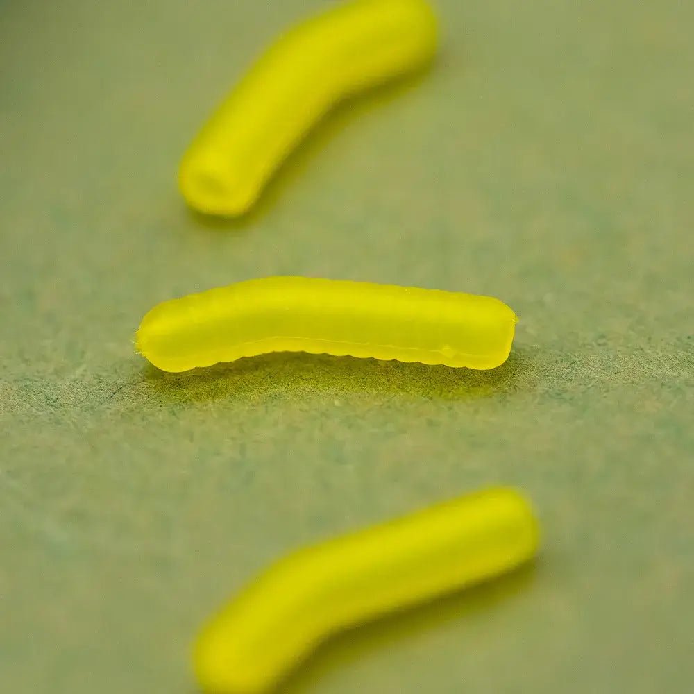 Conrnaliner Inturn OMC Dazzlers L - Tienda Carpfishing