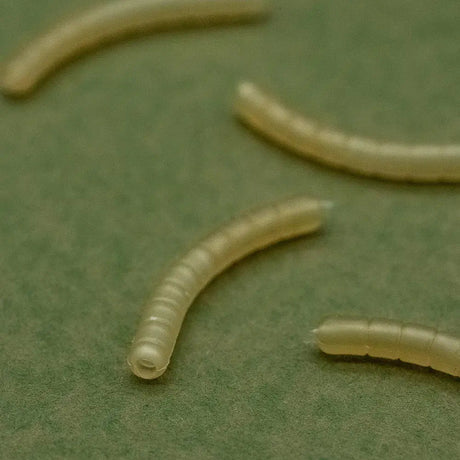 Magoliner Curve OMC Dazzlers L - Tienda Carpfishing