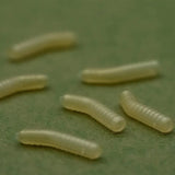 Magoliner Inturn OMC Dazzlers L - Tienda Carpfishing