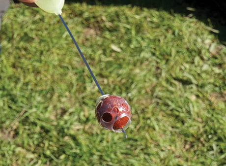 Shrink Wrap Boilie Guard Carp Spirit - Tienda Carpfishing