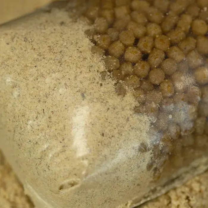 Stick Mix Sticky Manilla 900 g - Tienda Carpfishing